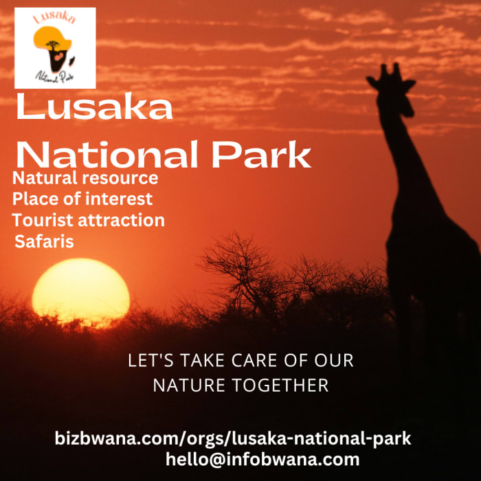 Lusaka National Park is a hidden gem located right next to the bustling city of Lusaka, Zambia. 