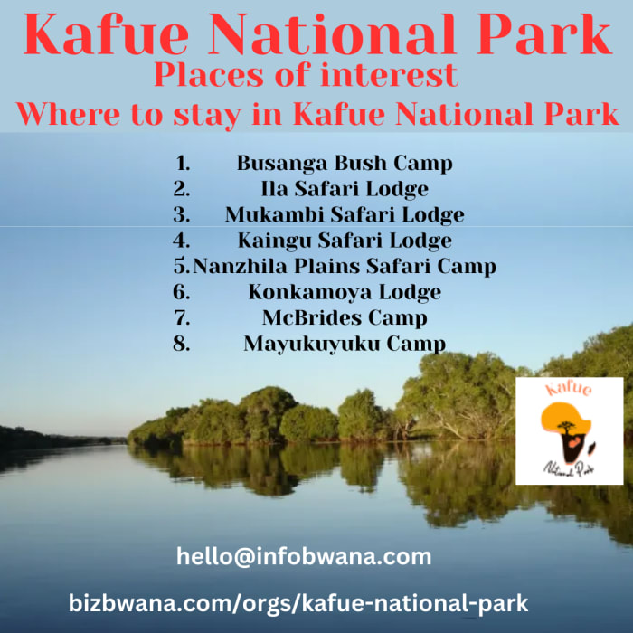 Kafue National Park in Zambia offers a variety of exciting safari activities for visitors to explore its diverse ecosystems and wildlife.