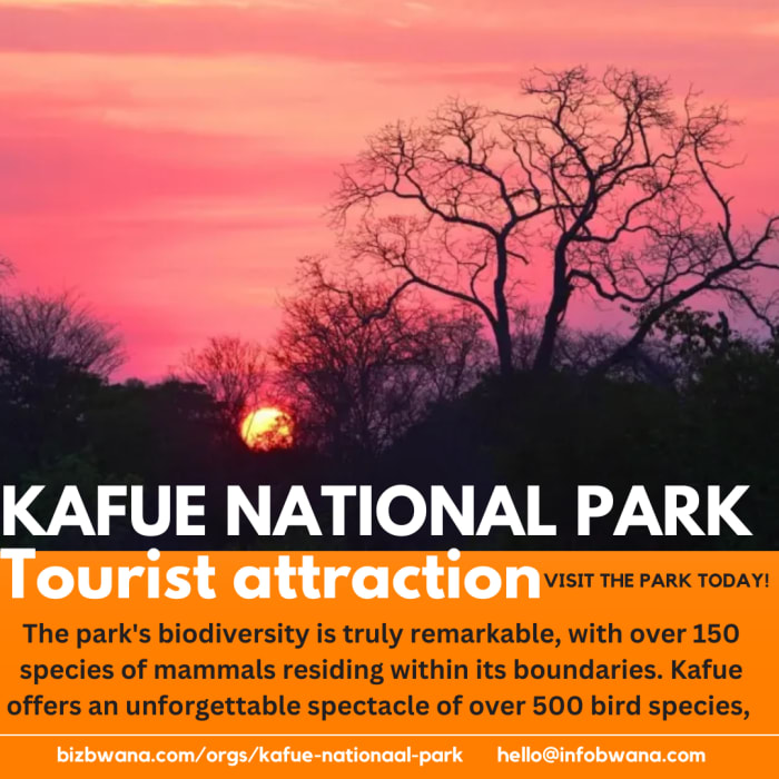 Provides visitors with an opportunity to experience a wide range of landscapes and wildlife, from the Kafue River to the miombo woodlands and vast plains.