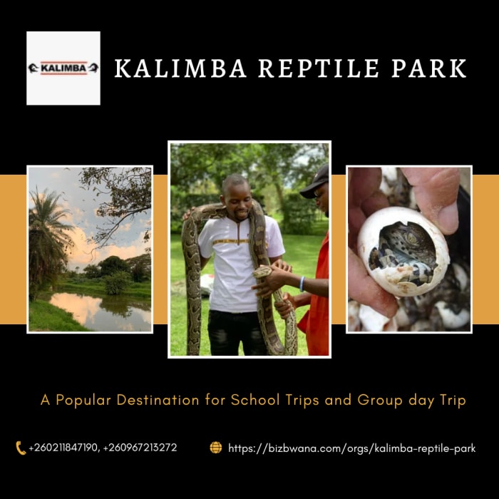 Very popular destination for school trips and group day trips