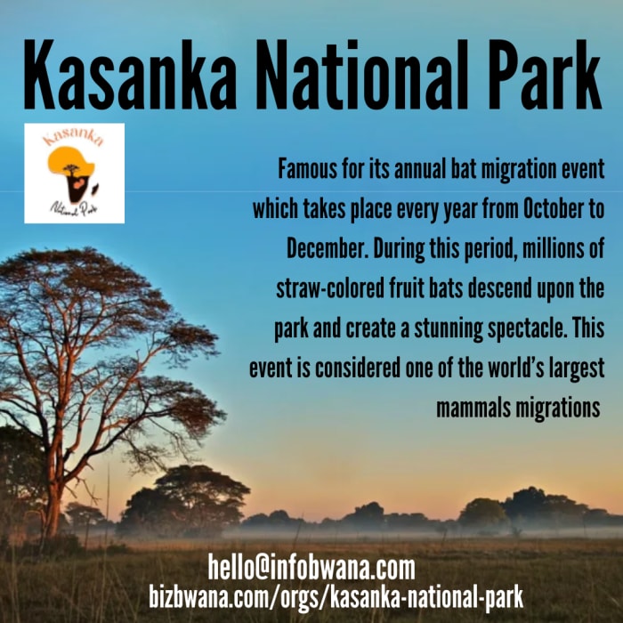 Kasanka National Park is a national park located in Serenje, Zambia. It is known for its diverse wildlife and pristine natural beauty. 