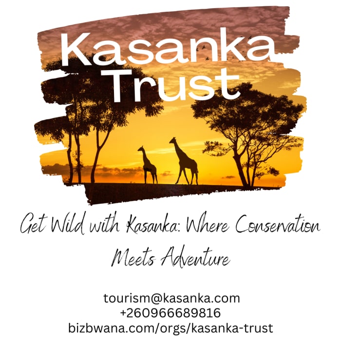 Kasanka Trust is a non-profit organization based in Zambia that focuses on the conservation of wildlife and ecosystems, particularly in the Kasanka National Park.