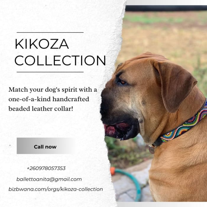 Hand-beaded leather collars made to stand out