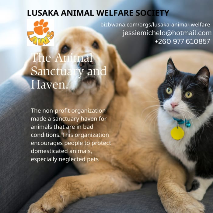 The Lusaka Animal Welfare Society (LAWS) is a non-profit organization in Lusaka, Zambia