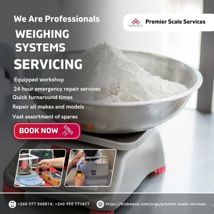 Weighing systems servicing