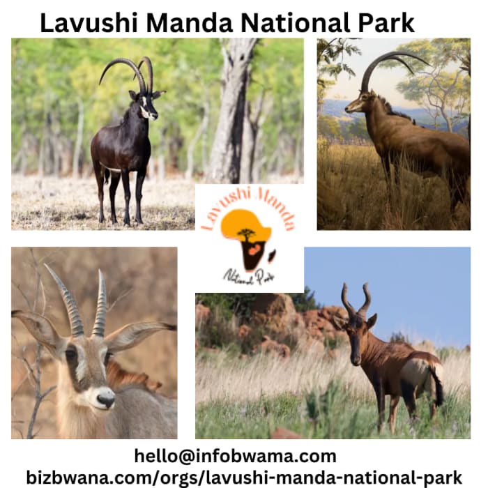 Lavushi Manda National Park, situated near Samfya in Zambia, is a pristine and biodiverse haven that showcases the incredible abundance of wildlife in the region.