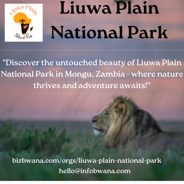 Liuwa Plain National Park, located near Mongu in Zambia, is a captivating tourist attraction