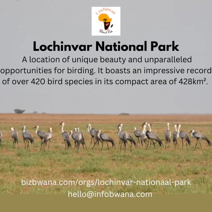 Lochinvar National Park is renowned for its  natural beauty, diverse wildlife, and unique ecosystems