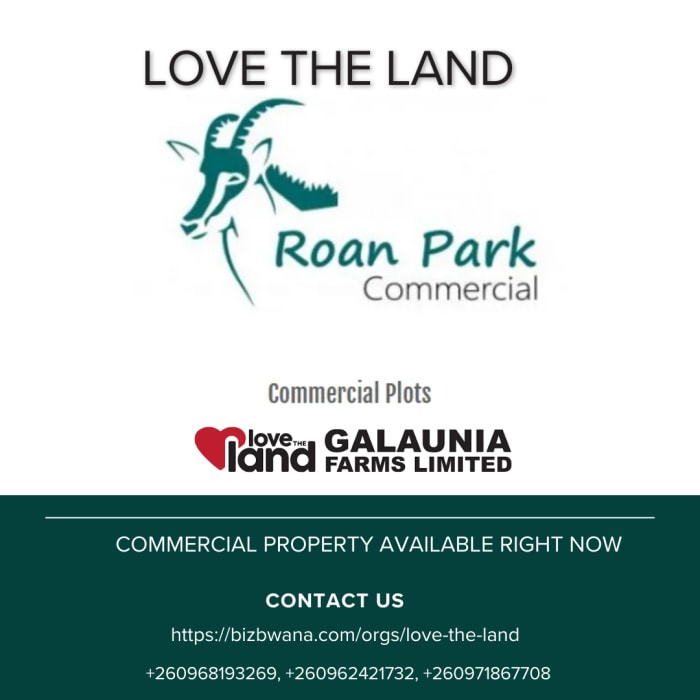 A portfolio of commercial plot options