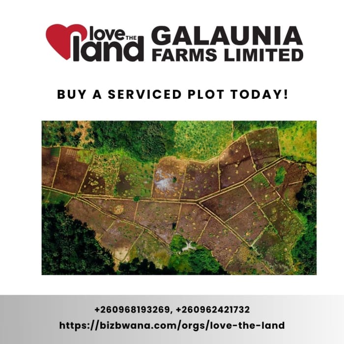 Buy a serviced plot today!