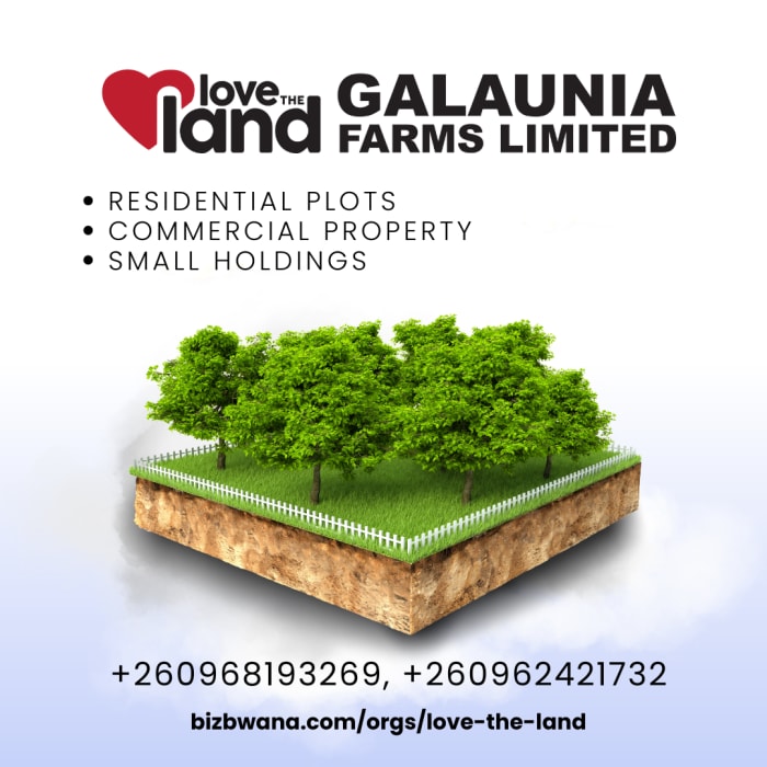 🏡 Find Your Dream Residential Plot!
