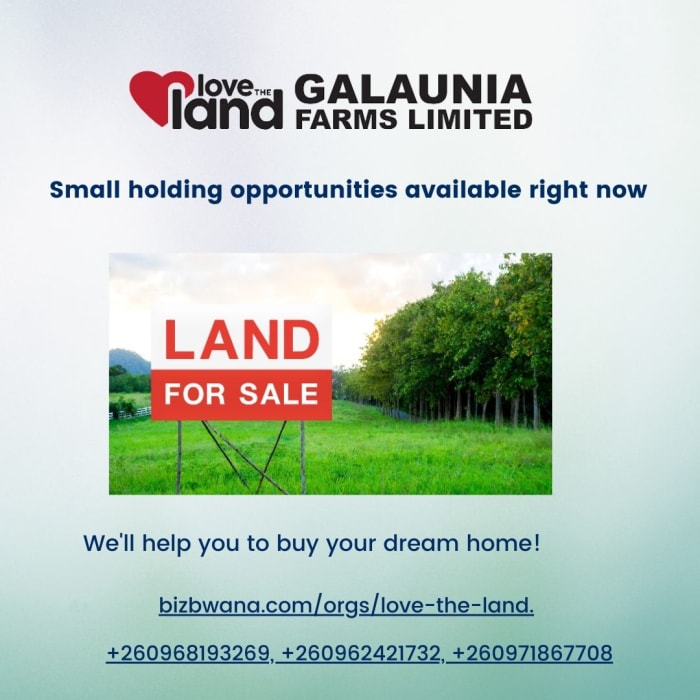 Small holding opportunities available right now