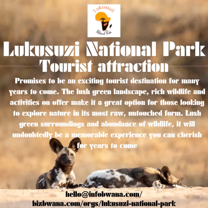 A popular tourist attraction for those seeking an authentic African safari experience.