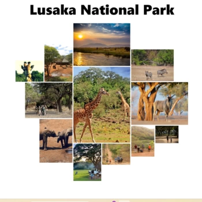 The Multifaceted Significance of Lusaka National Park