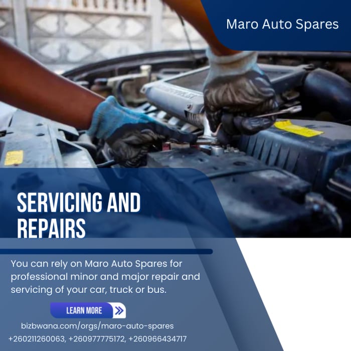 Professional vehicle diagnosis, service and repair of all models of car