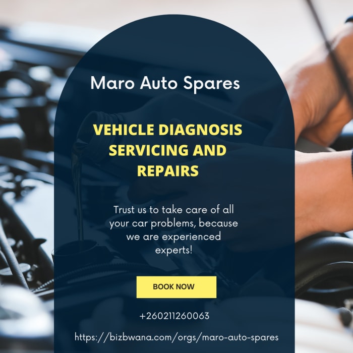 Professional vehicle diagnosis, service and repair of all models of car