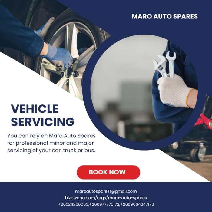 Professional vehicle diagnosis, service and repair of all models of car