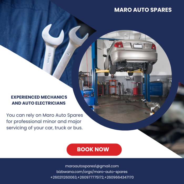 Highly experienced mechanics and auto electricians