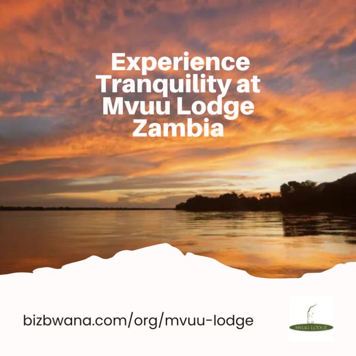 Experience Tranquility at Mvuu Lodge Zambia