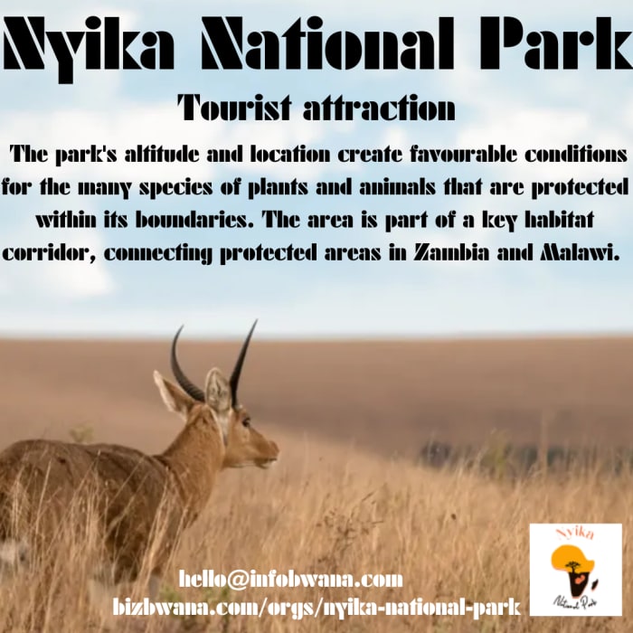 Nyika National Park is a vast wilderness area that spans across the border between Zambia and Malawi.