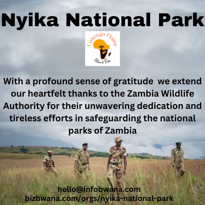  Zambia Wildlife Authority unwavering dedication and tireless efforts in safeguarding the national parks of Zambia.