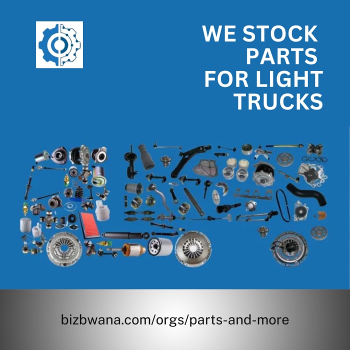 Keep Your Light Trucks Running Smoothly! 🚚