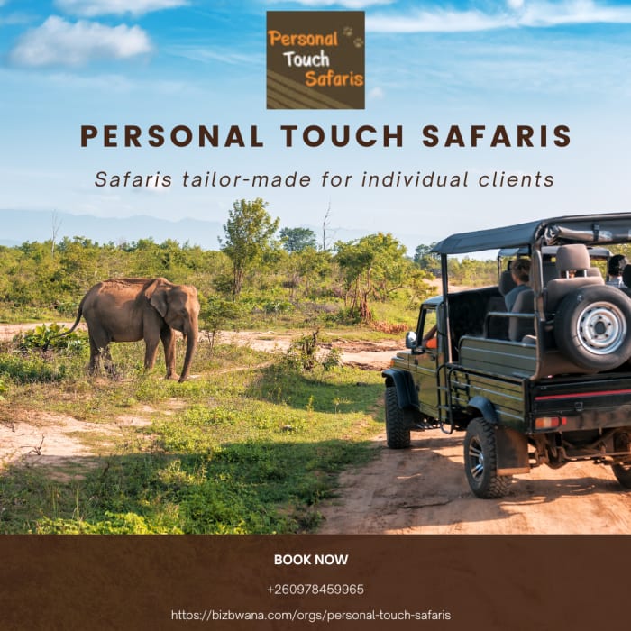 An experienced safari company specialising in the pristine South Luangwa Game Park