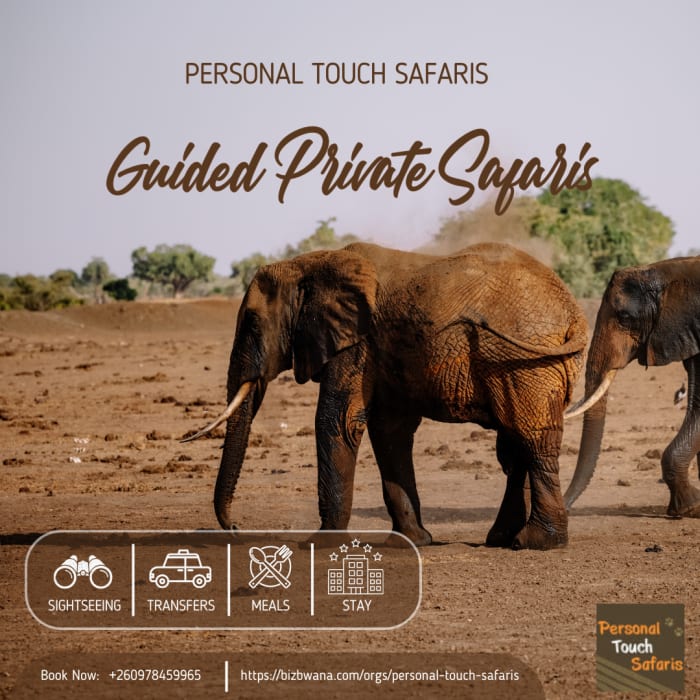 An experienced safari company specialising in the pristine South Luangwa Game Park