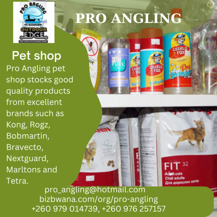 Products and services to ensure their customers' pets are happy and healthy.