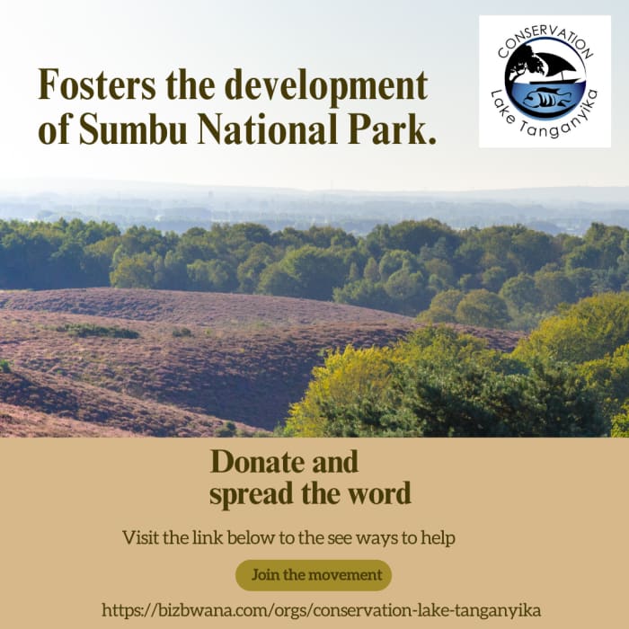 Discover the wonders of Sumbu National Park