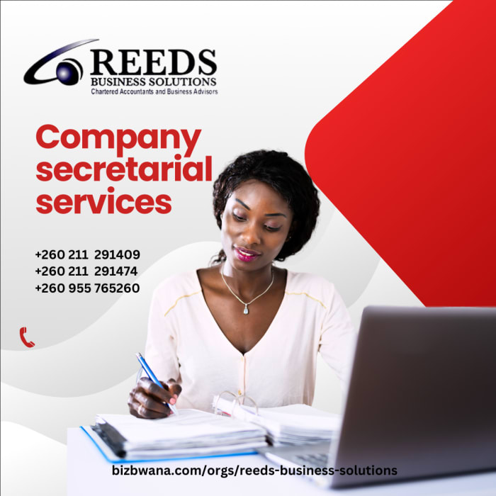 Company Secretarial Services
