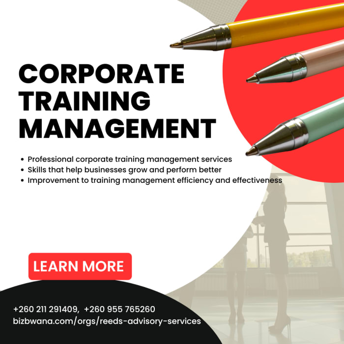 Improve Your Team's Potential with Reeds Advisory Services
