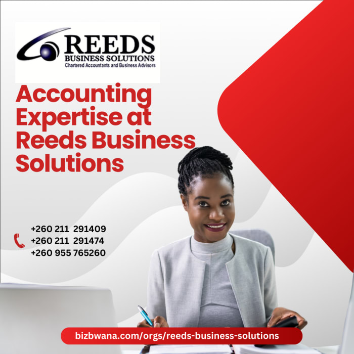 Expert Accounting Services at Reeds Business Solutions