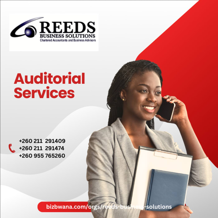 Reeds Business Solutions: Expert Audit and Tax Compliance Services