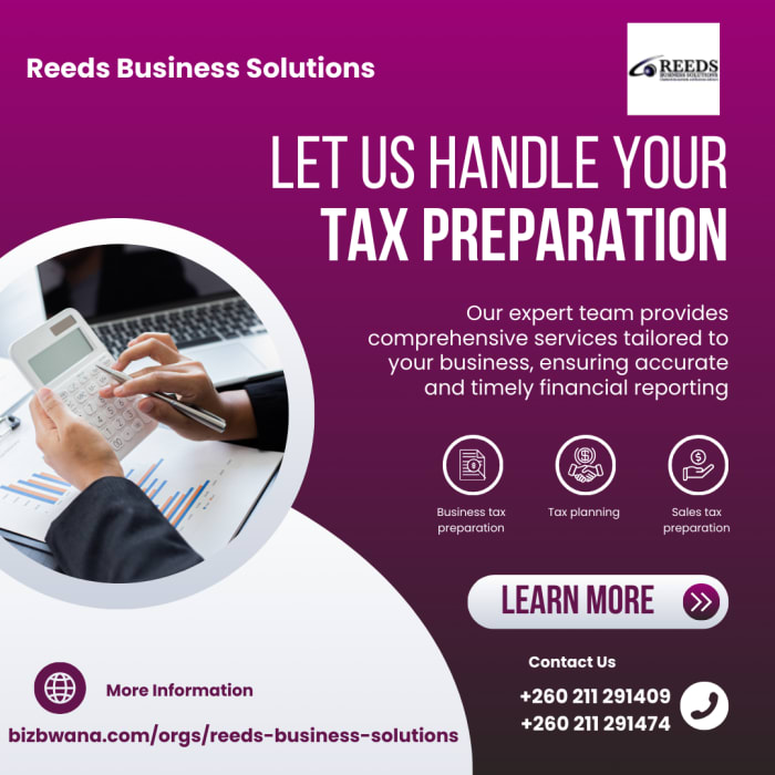 Tax planning, preparation and problem solving