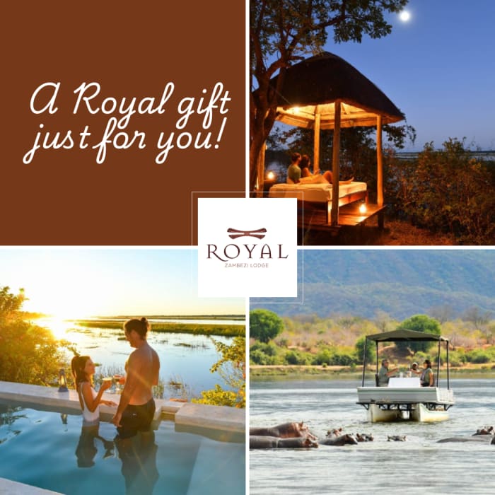 SPECIAL OFFER: A wild new offer, same exclusive luxury
