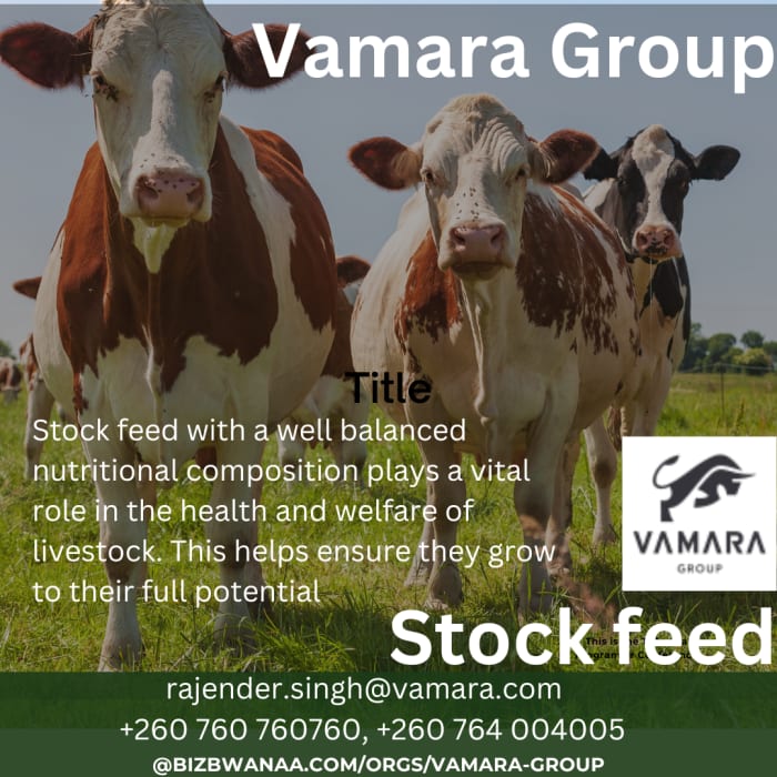 The Vamara Group in Lusaka, Zambia, is a well-known provider of stockfeed products in the region.