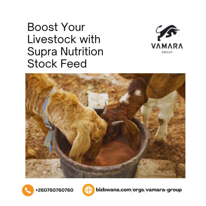 Boost Your Livestock with Supra Nutrition Stock Feed