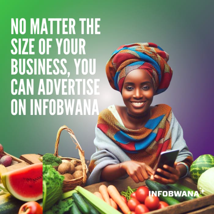 INFOBWANA IS YOUR GATEWAY TO BOOSTING YOUR BUSINESS ONLINE IN ZAMBIA 