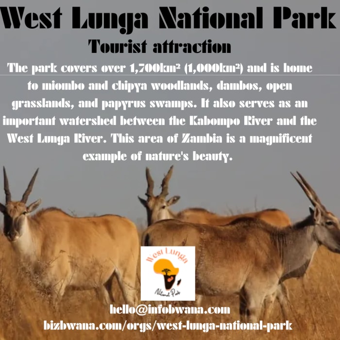 West Lunga National Park is a beautiful destination located in Mwinilunga, Zambia that offers a unique and thrilling experience for tourists. 