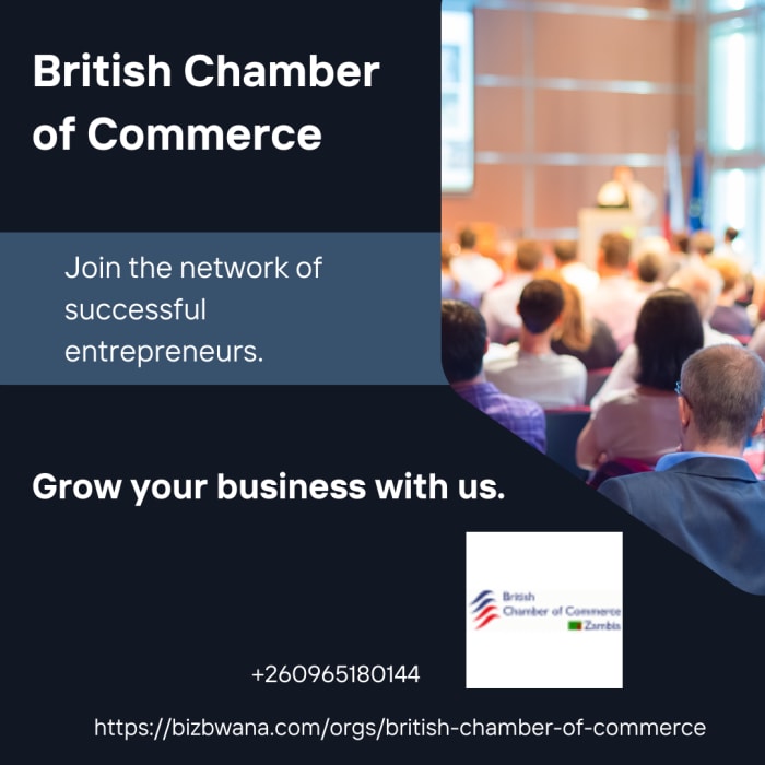 A networking platform to discover business opportunities locally and internationally