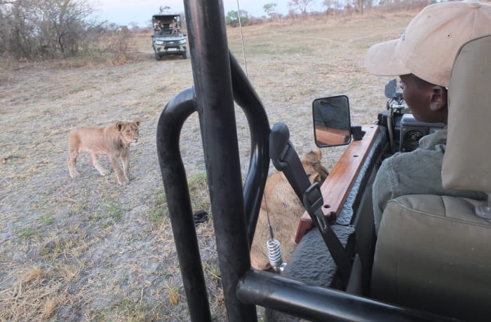 Safari Experience
