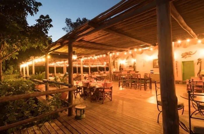 Luxury Safari Stays in the Heart of Nature