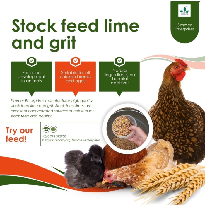 Get quality stock feed, lime & grit today!