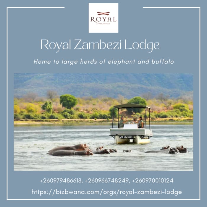 Home to large herds of elephant and buffalo