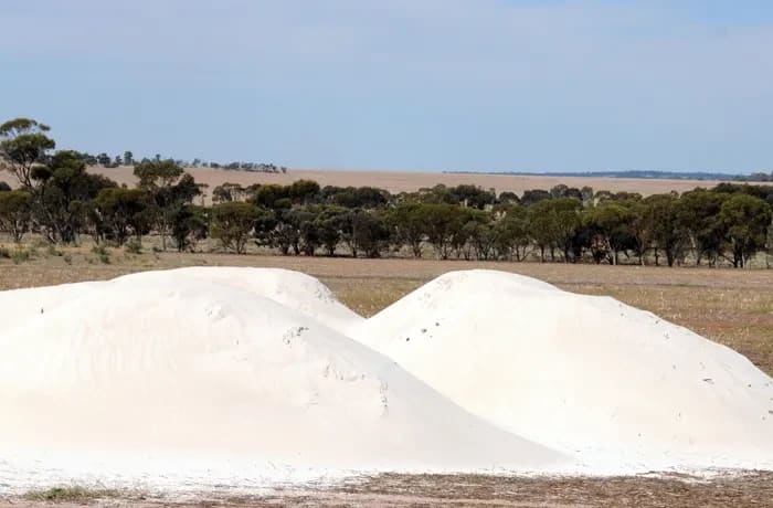 Enhancing Agriculture with Quality Lime Products