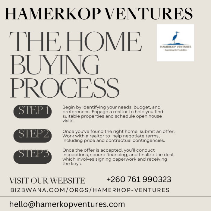 Hamerkop Ventures is a real estate company located in Lusaka, Zambia.