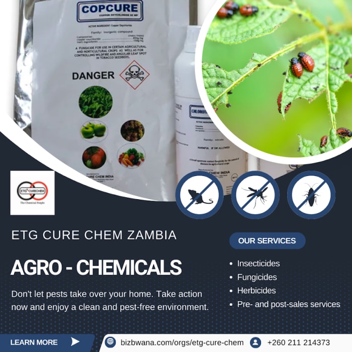 Trusted Chemical Solutions for Zambia's Leading Industries