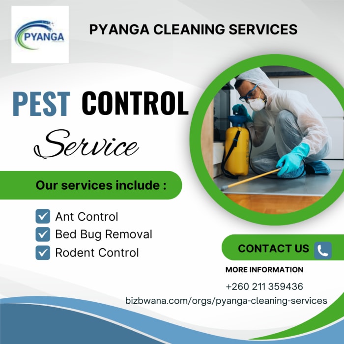 Effective removal of unwanted pests from your home or business