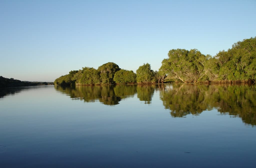 Kafue National Park image